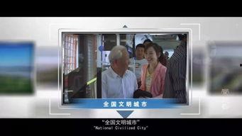 都市名片电视剧在线观看,揭秘现代都市生活百态  第3张